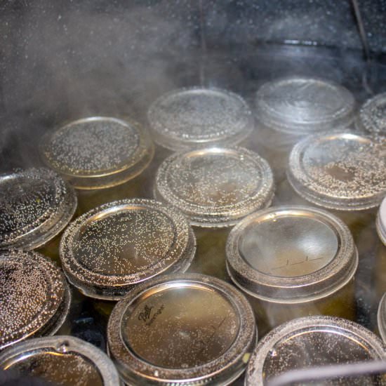 Water Bath Canning - Recipe photo by BeyondtheCoop