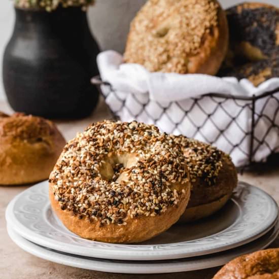 New York Style Bagels - Recipe photo by kickassbaker