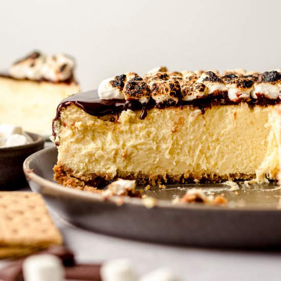 s'mores cheesecake - Recipe photo by freshaprilflours