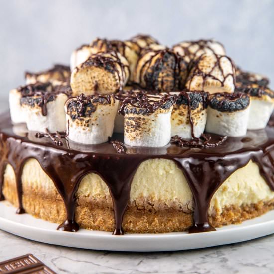 S'mores Cheesecake - Recipe photo by bunsenburnerbakery