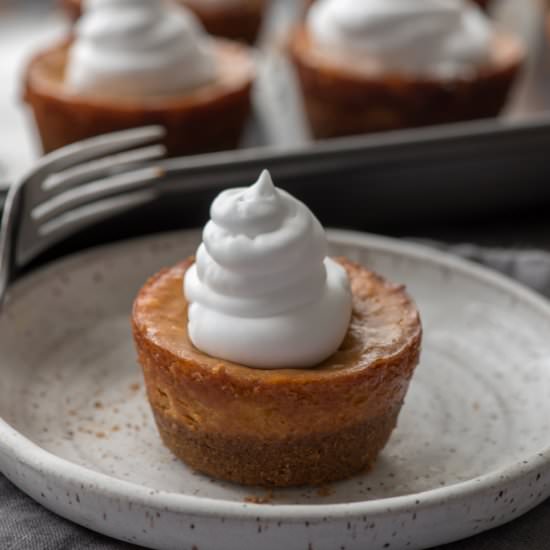 Pumpkin Cheesecake Minis - Recipe photo by farmflavor