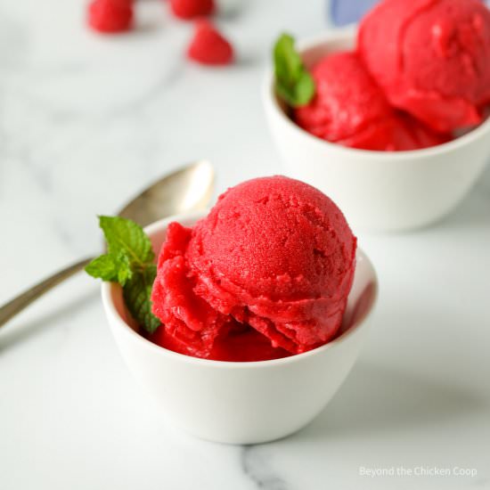Raspberry Sorbet - Recipe photo by BeyondtheCoop
