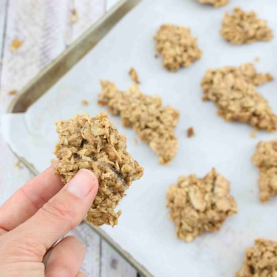 Maple Pecan Granola Clusters - Recipe photo by Fitasamamabear