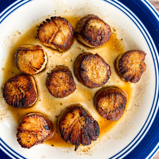 Pan Seared Scallops - Recipe photo by TastefullyGrace