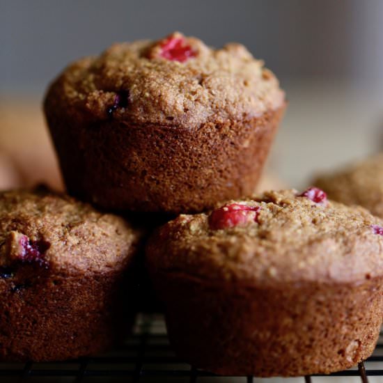 Vegan Cranberry Orange Muffins - Recipe photo by theconscientiouseater