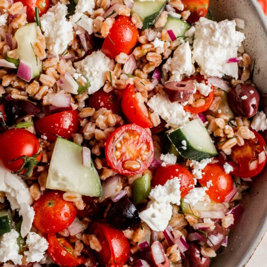 greek farro salad - Recipe photo by whisked away kitchen
