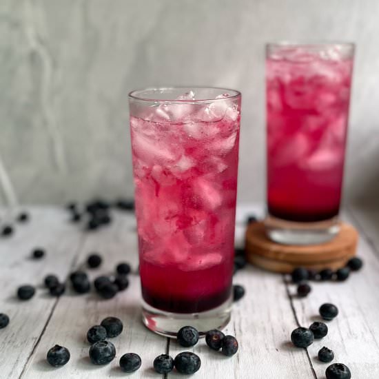 Blueberry Gin and Tonic - Recipe photo by uglyducklingbakery
