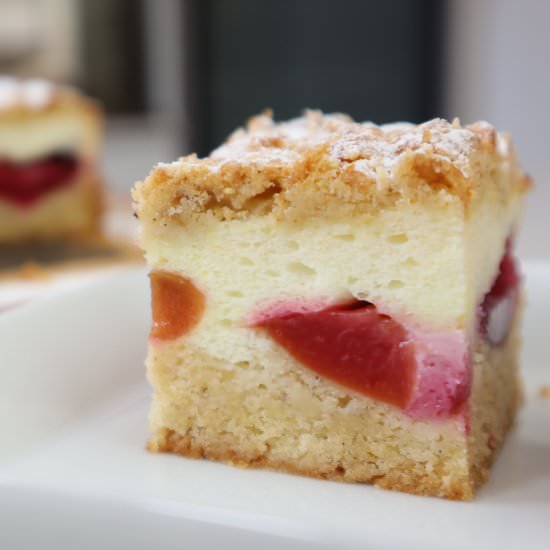 Plum and vanilla foam cake - Recipe photo by HubbyInTheKitchen