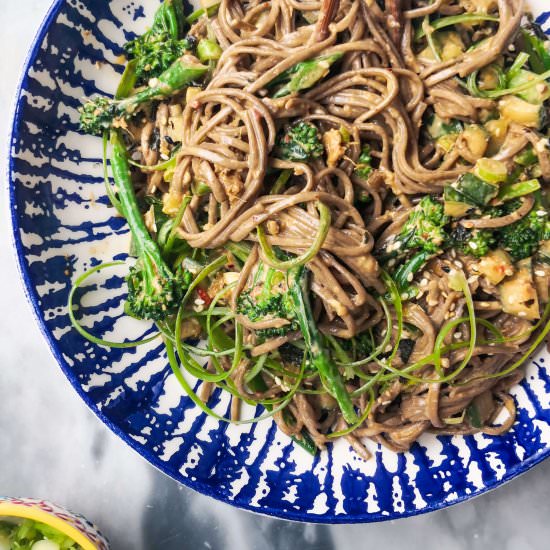 Sesame soba noodle salad - Recipe photo by DishedbyKate