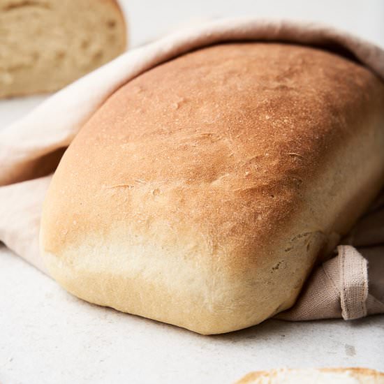 Vegan Sandwich Bread - Recipe photo by brokebankvegan