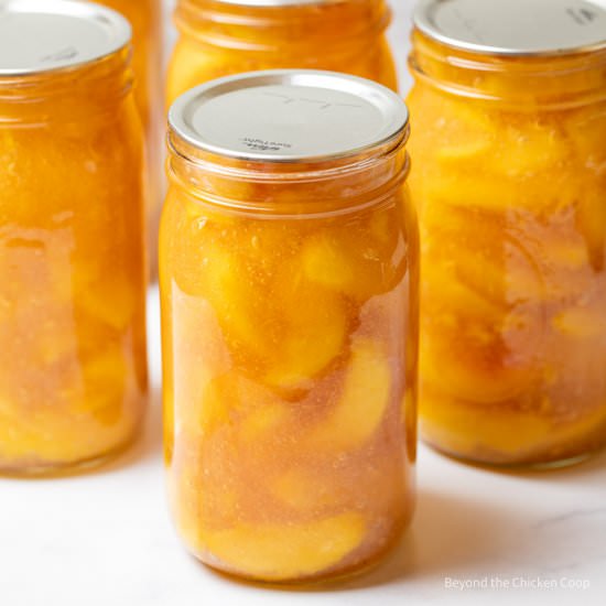 Canning Peach Pie Filling - Recipe photo by BeyondtheCoop