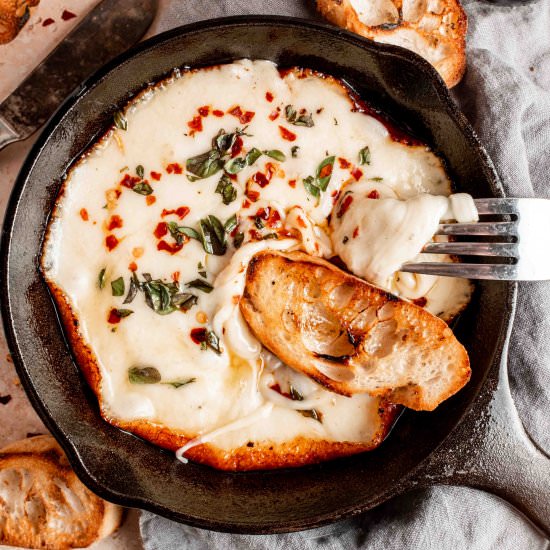 provoleta (grilled provolone) - Recipe photo by whisked away kitchen