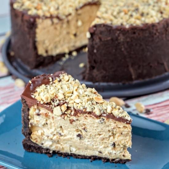 Chocolate Oreo Peanut Butter Torte - Recipe photo by bunsenburnerbakery
