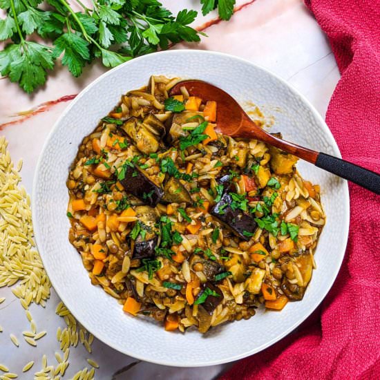 Lentil, Orzo And Eggplant Stew - Recipe photo by mamazilla