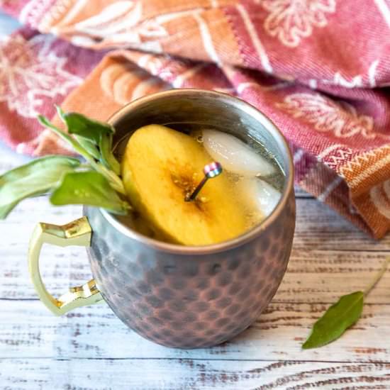 Apple Cider Mule - Recipe photo by iwilkerson