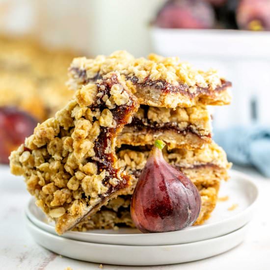 Homemade Fig Bars - Recipe photo by bunsenburnerbakery