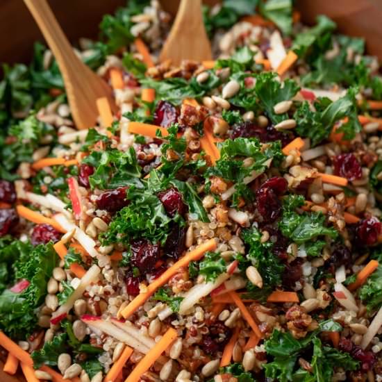 Kale Apple Cranberry Salad - Recipe photo by peasandcrayons
