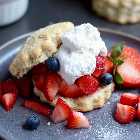 Vegan Strawberry Shortcake Recipe - Recipe photo by theconscientiouseater
