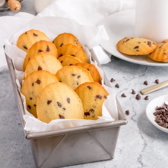 chocolate chip madeleines - Recipe photo by mapleandthyme