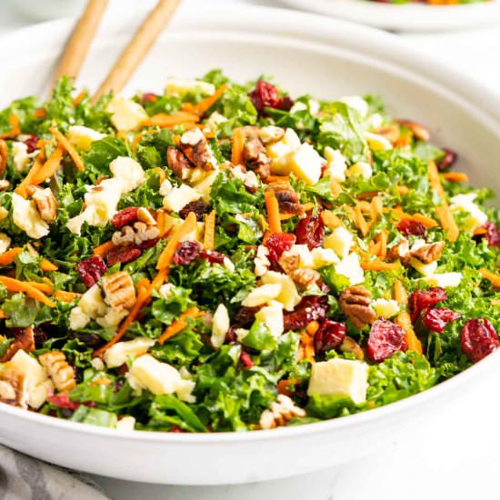 Cranberry and Kale Salad - Recipe photo by peelwithzeal