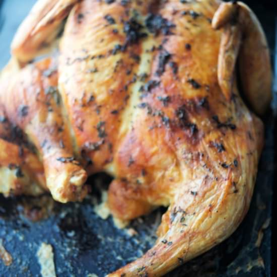 Butter Thyme Spatchcock Chicken - Recipe photo by Carries Experimental Kitchen