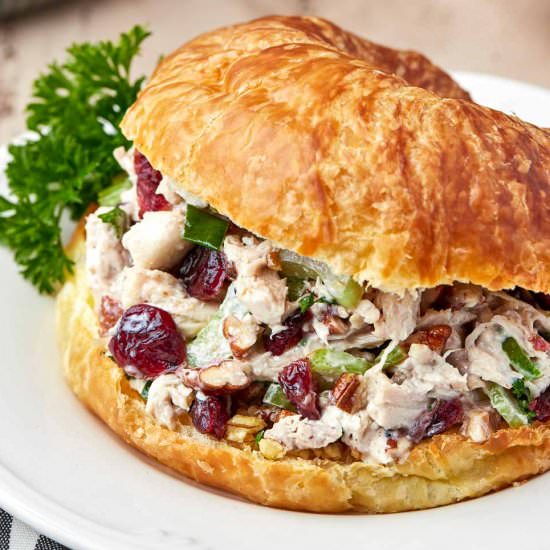 Easy Cranberry Pecan Chicken Salad - Recipe photo by bykelseysmith