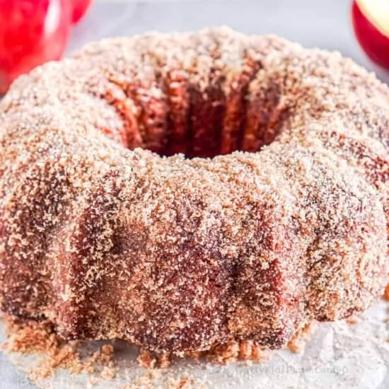 Apple Cider Doughnut Cake - Recipe photo by OnMyKidsPlate