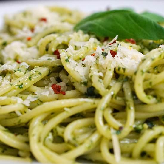 Fresh Basil Pesto Pasta - Recipe photo by bemyrecipe