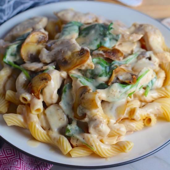Chicken Mushroom Stroganoff - Recipe photo by TalkingMeals