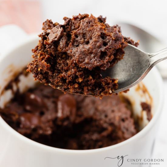 Protein Mug Cake - Recipe photo by VegMamma