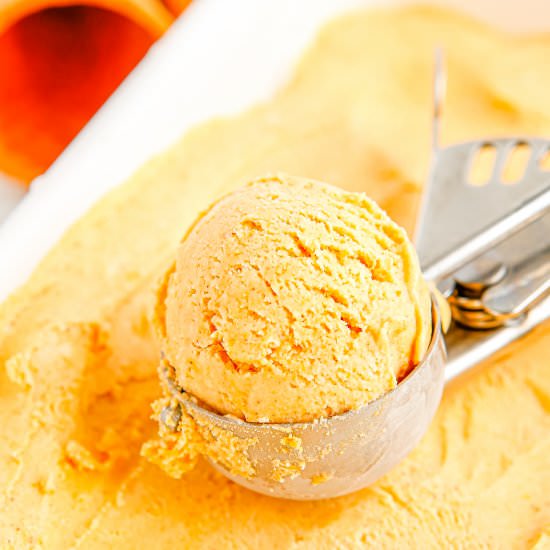 Pumpkin Pie Ice Cream - Recipe photo by EasyBudgetRecipes