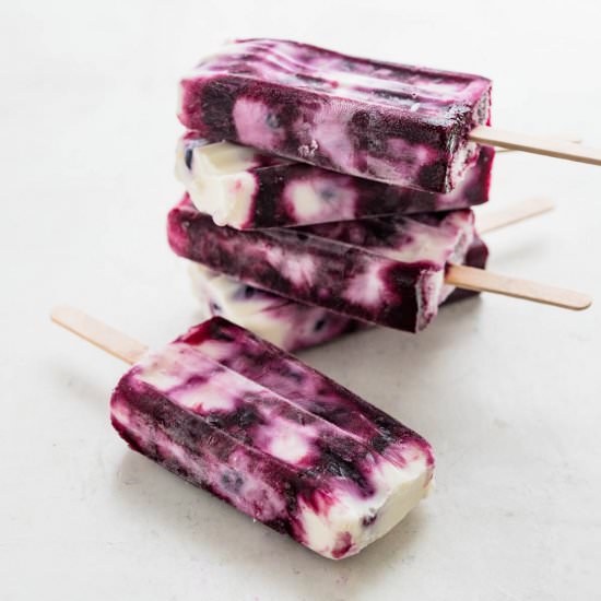 Swirled Blueberry Yogurt Popsicles - Recipe photo by garlic and zest