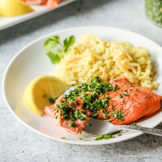 Sockeye Salmon - Recipe photo by BeyondtheCoop
