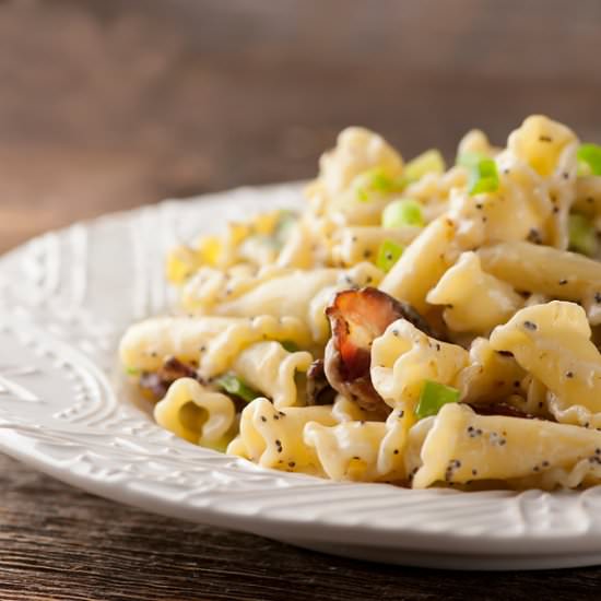 Pasta with Bacon Sour Cream Sauce! - Recipe photo by Framed Cooks