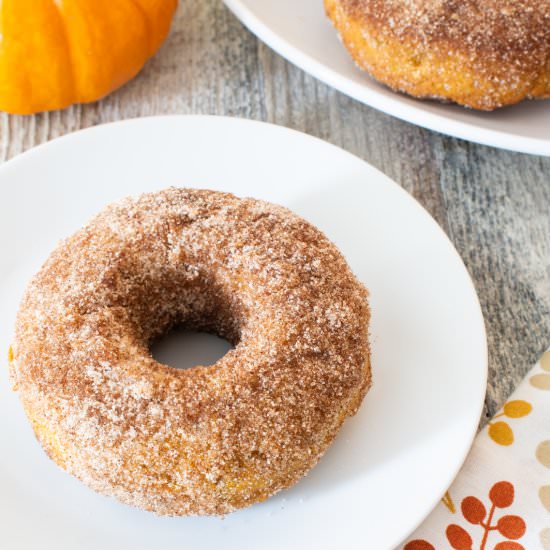 Cinnamon Sugar Pumpkin Donuts - Recipe photo by For the Love of Cooking