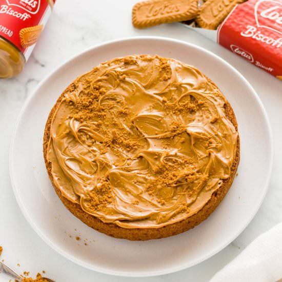 3 Ingredient Biscoff Cake - Recipe photo by PastryWishes