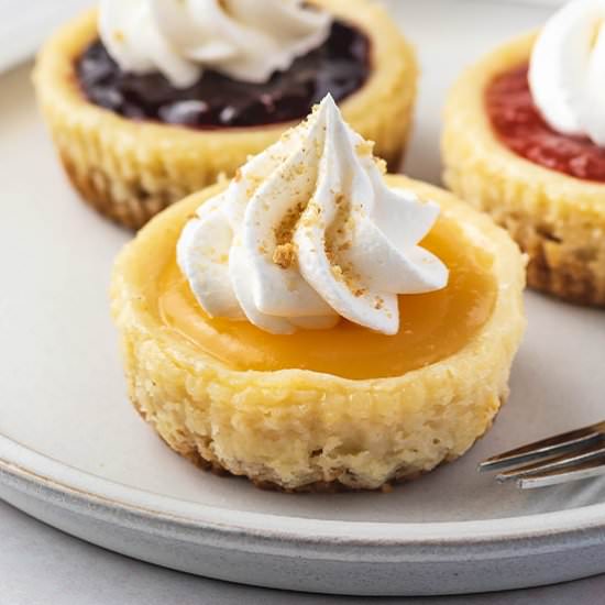Mini Cheesecake - Recipe photo by bellyfull