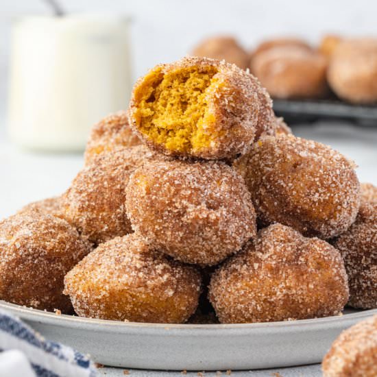 Air Fryer Pumpkin Donut Holes - Recipe photo by stateofdinner