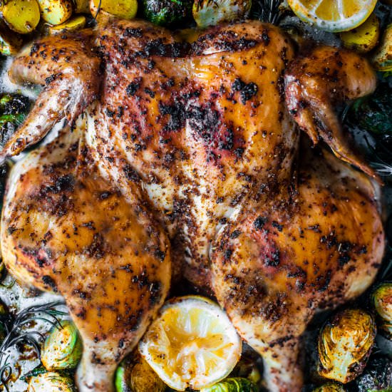 lemon herb spatchcocked chicken - Recipe photo by killingthyme
