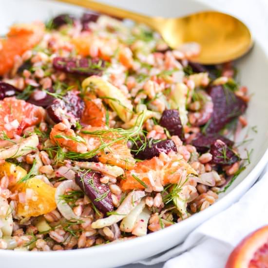 Winter Farro Salad - Recipe photo by earthly provisions