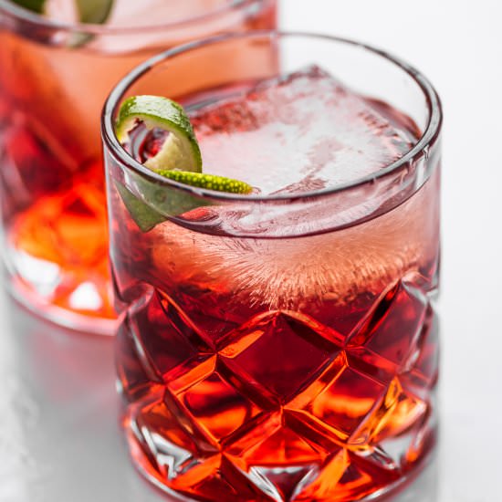 Tequila Negroni - Recipe photo by The Endless Meal
