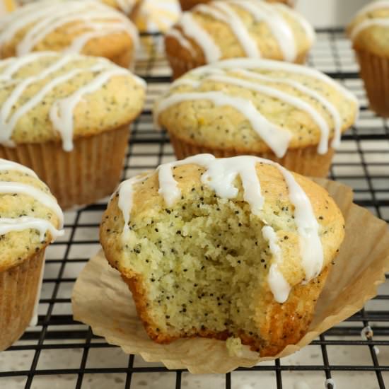Lemon Poppy Seed Muffins - Recipe photo by Small Town Woman