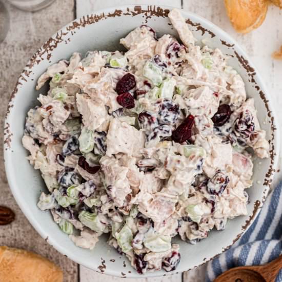 Cranberry Pecan Chicken Salad - Recipe photo by thecaglediaries