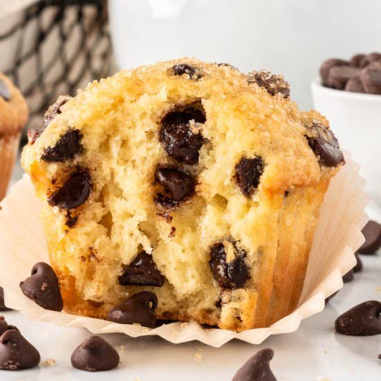 Bakery Style Chocolate Chip Muffins - Recipe photo by buildyourbite