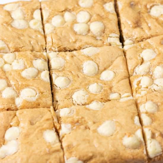 Easy Vegan Blondies - Recipe photo by Zardyplants