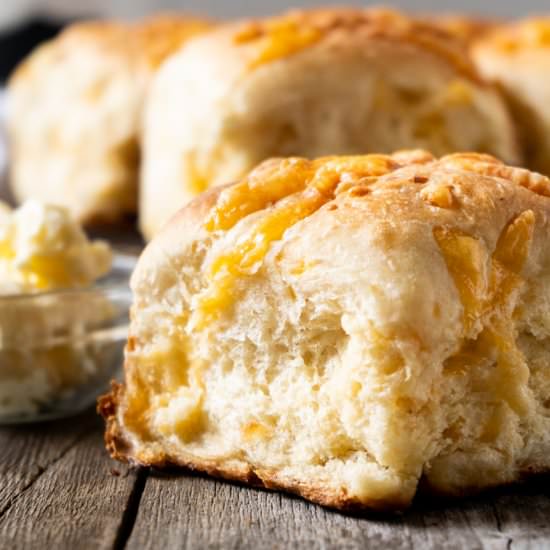 One-Rise Cheddar Cheese Rolls - Recipe photo by TheDeliciousSpoon