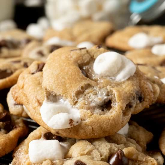 Marshmallow Chocolate Chip Cookies - Recipe photo by TheDeliciousSpoon