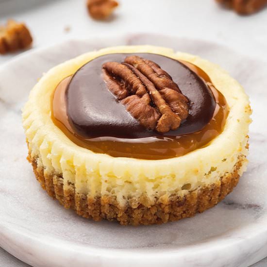 Mini Turtle Cheesecakes - Recipe photo by bellyfull