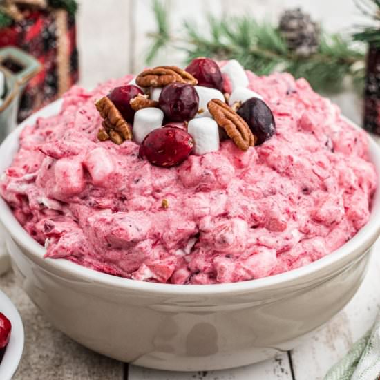 Cranberry Salad - Recipe photo by thecaglediaries