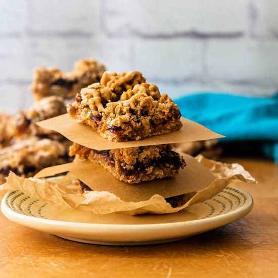 Mom's Oatmeal Raisin Bars - Recipe photo by onlinepastrychef